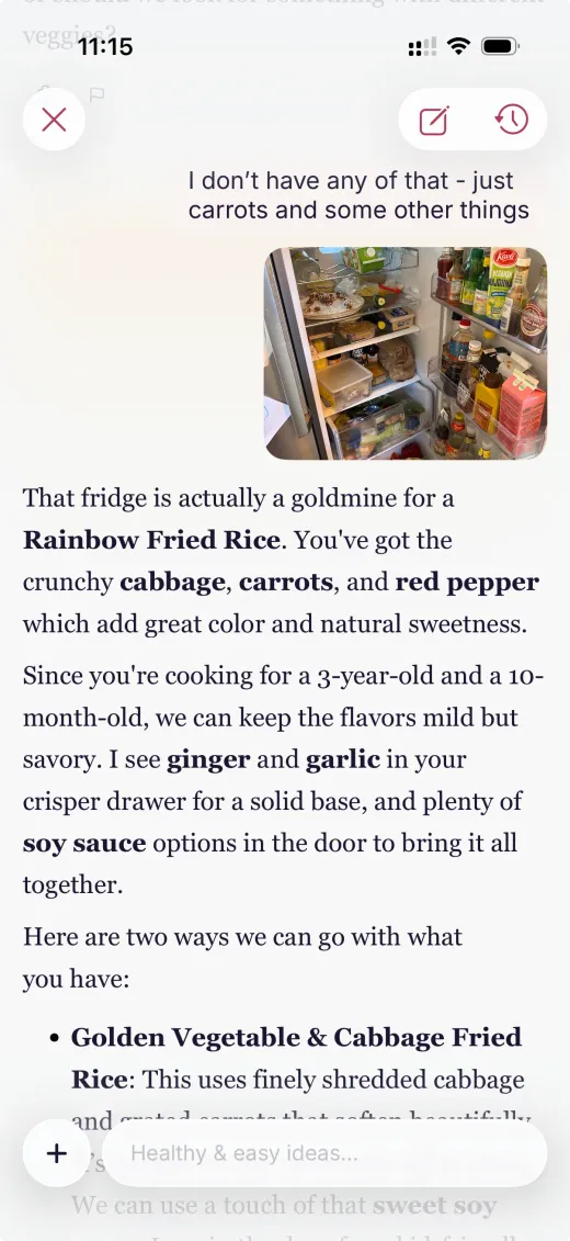 Dillr adapting a recipe through conversation